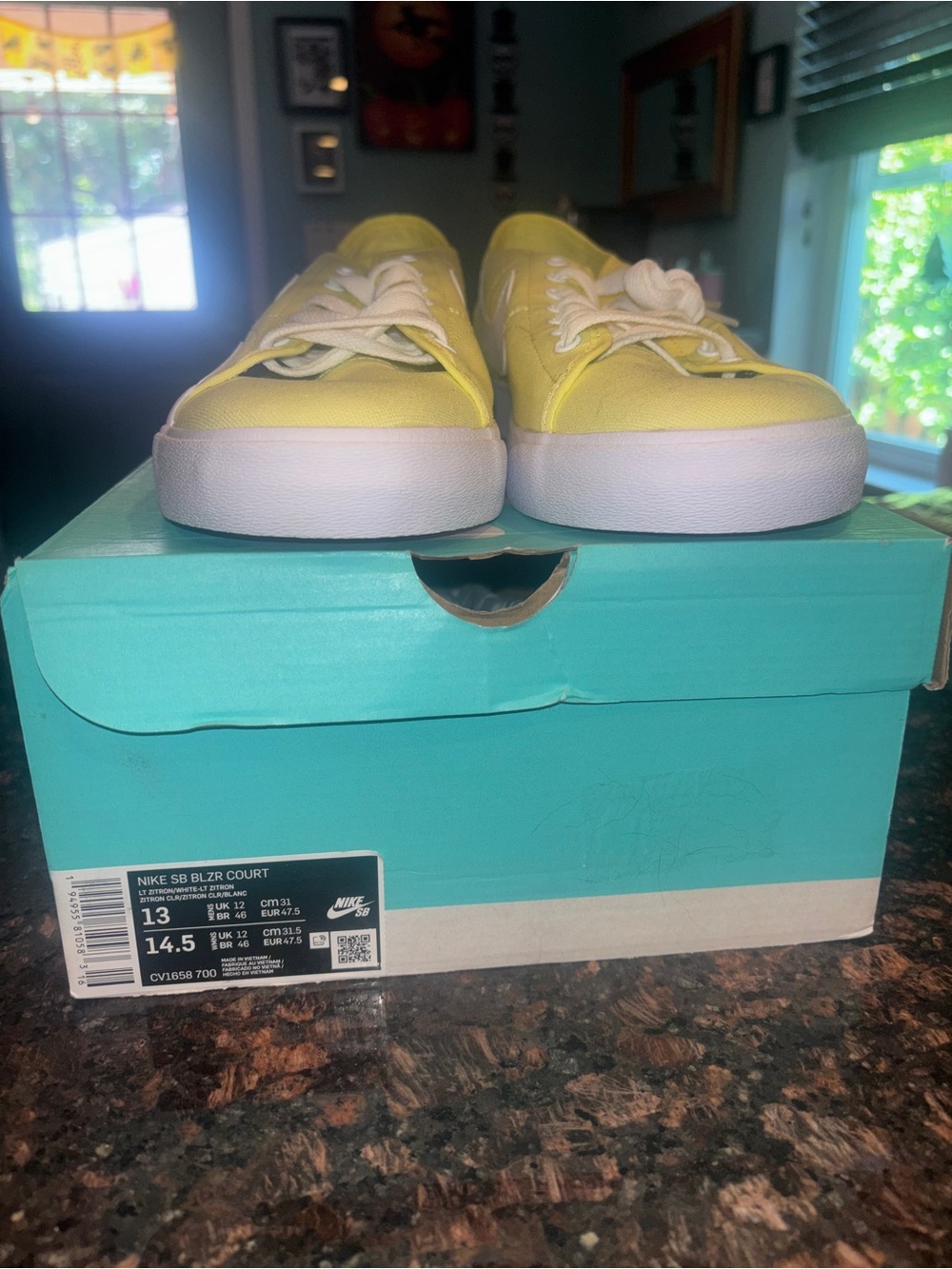 Nike  SB BLZR COURT BRAND NEW NEVER WORN STILL IN THE BOX